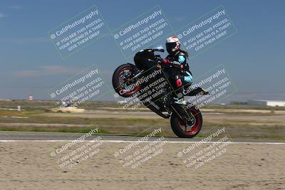 media/Mar-24-2025-2WTD (Mon) [[55b4b08488]]/B Group/1220pm (Wheelie Bump)/